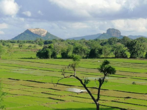 Organic Garden Sigiriya